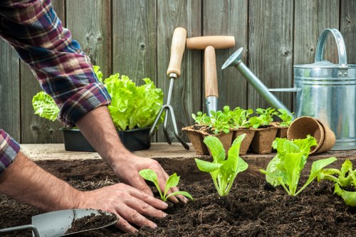 Gardeners South Tottenham pricing for a tidy residential garden