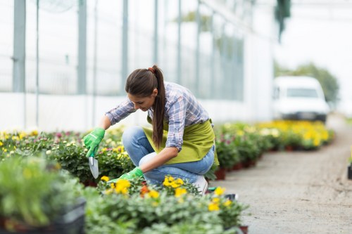 Seasonal lawn maintenance in South Tottenham backyard