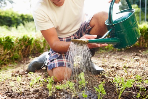 Gardeners South Tottenham working safely with protective equipment