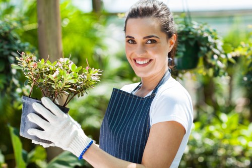 Aeration and lawn treatment for South Tottenham grass
