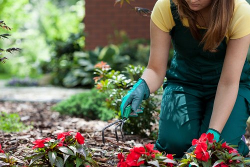 Well-kept South Tottenham garden improving kerb appeal and property value
