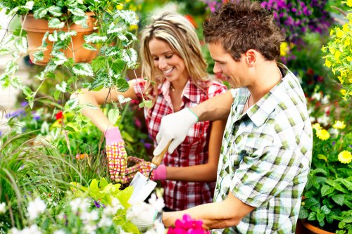 Lawn care and planting services for a South Tottenham garden
