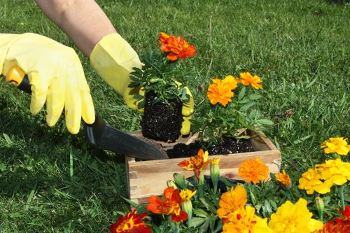 South Tottenham garden maintenance with balanced planting and clean borders
