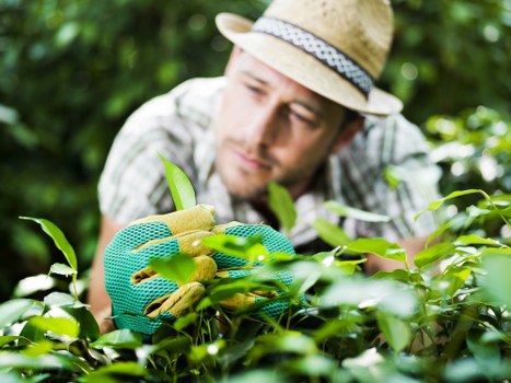 Gardeners South Tottenham creating a neat, healthy, and attractive garden