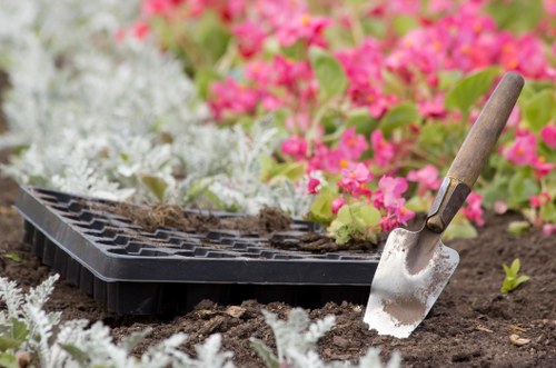 Hard landscaping and soft planting features in a South Tottenham garden