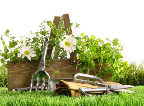 Low-emission service van used for sustainable gardening work