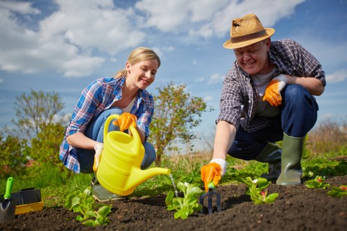 Seasonal gardening work in South Tottenham on a residential outdoor space