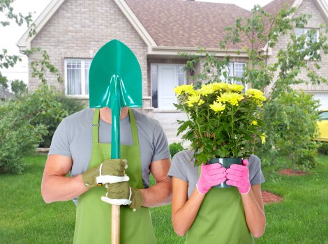 Seasonal lawn care and mowing in South Tottenham
