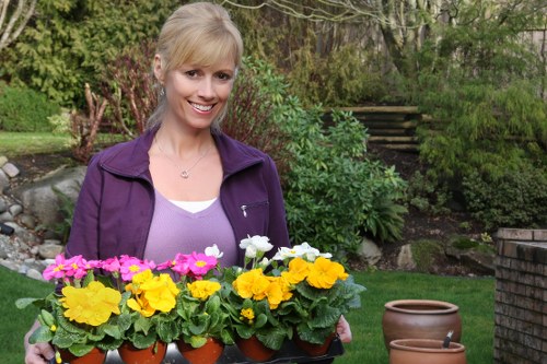 Payments and job scope terms for gardening services