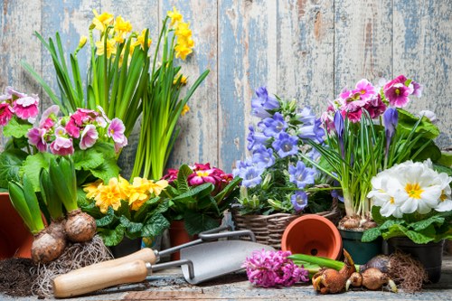 Responsible garden waste recycling and sustainability in South Tottenham