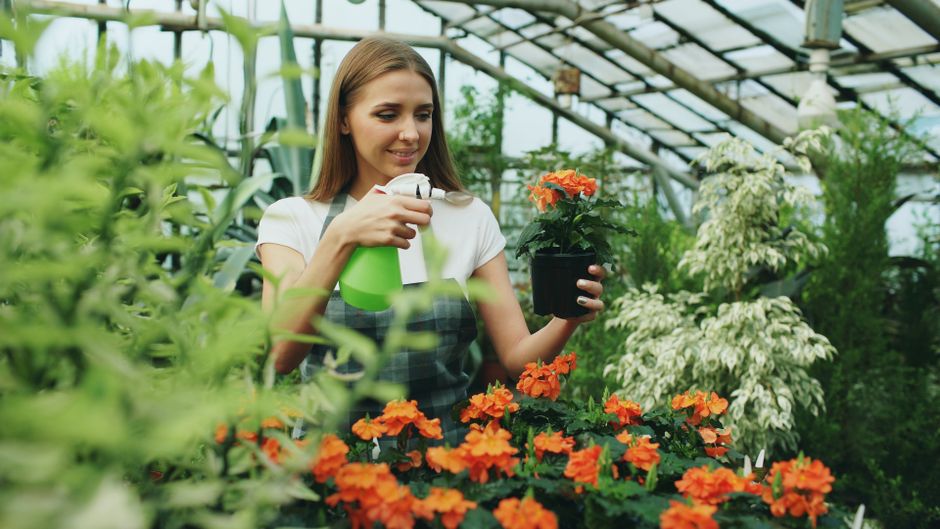A young woman with long brown hair, dressed in a white t-shirt and a checkered apron, is inside a greenhouse surrounded by lush green foliage and various plants. She is smiling and holding a small pot