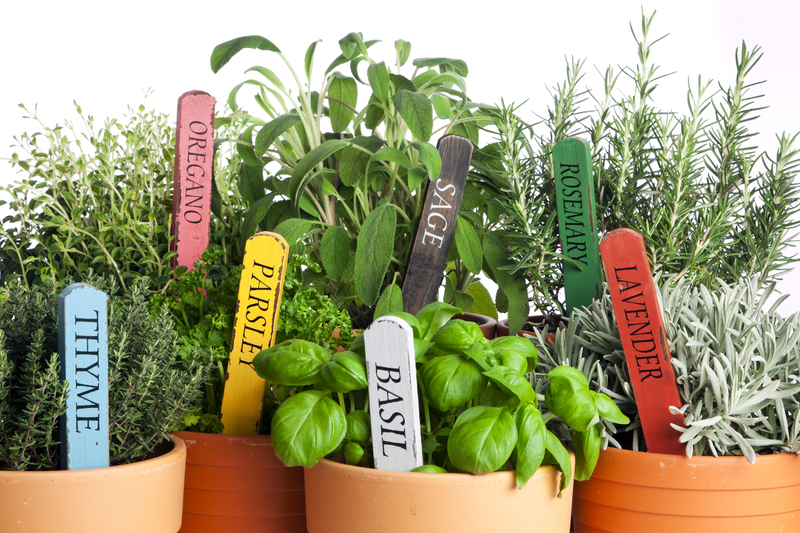 garden design professional gardeners